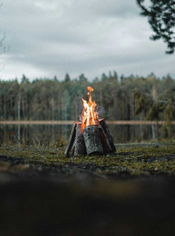 pexels-gantas-4323815