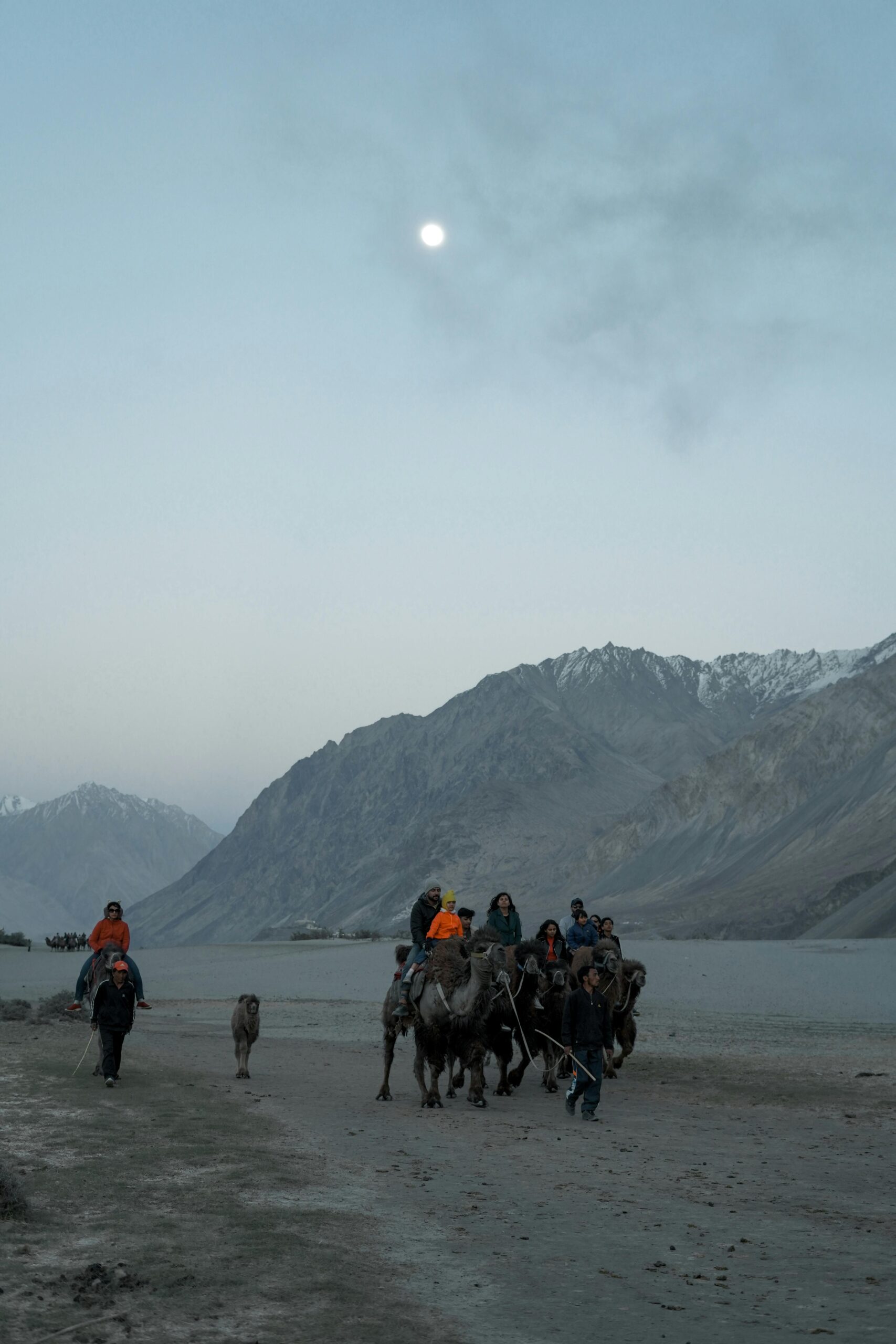 pexels qaarif 12235865 scaled